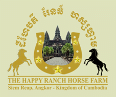 The Happy Ranch Horse Siem Reap Cambodia